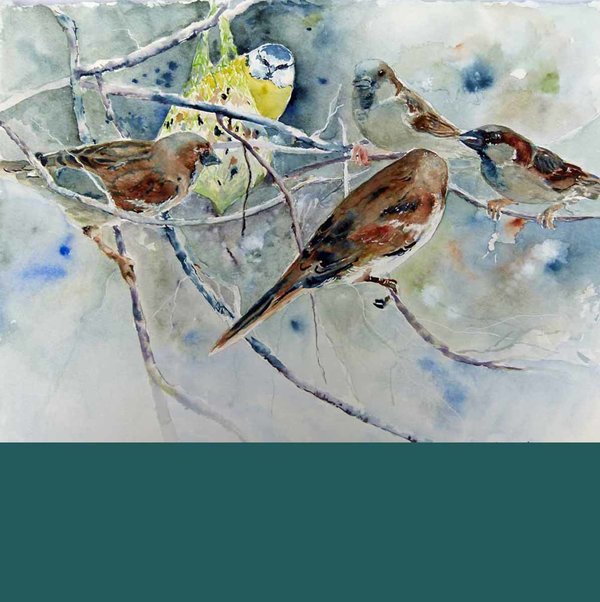Aquarelle mit Gartenvögel von Hanka & Frank Koebsch