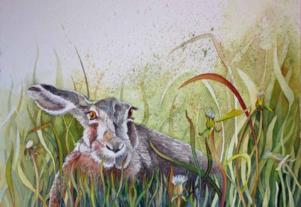 Postkarte – „Ein Hase versteckt im Gras“
