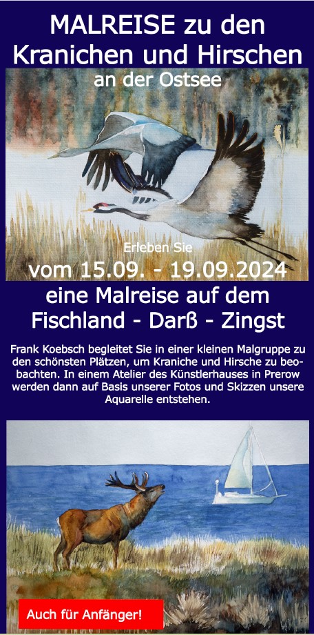 Malreise zu den Kranichen und den Hirschen an der Ostsee vom 15. bis zum 19. September 2024