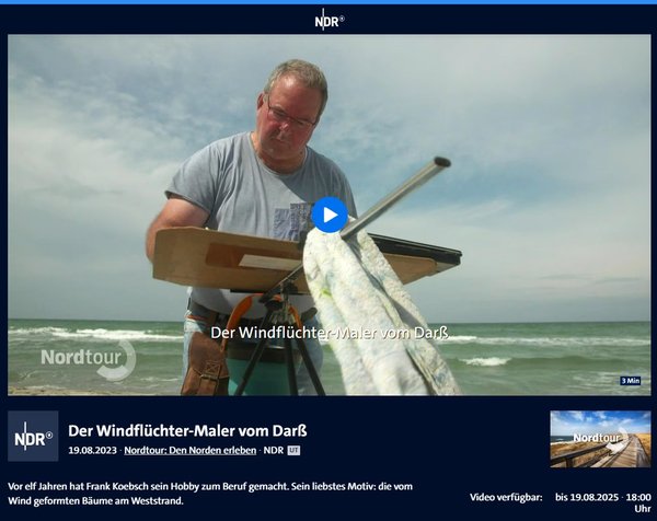 Link zum Beitrag der NDR Nordtour über Aquarellen von Frank Koebsch mit Windflüchtern, Kranichen und Hirsche auf dem Fischland Darß Zingst in der ARD Mediathek