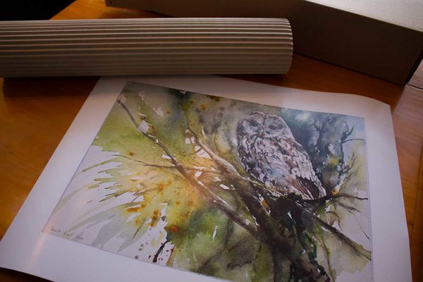 Plakatdruck von der Aquarell - Ich seh Dich - einem Aquarell mit einer Waldohreule von Hanka Koebsch