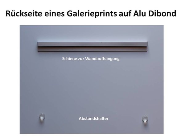 Rückseite eines Galerieprints auf Alu Dibond (c) Frank Koebsch