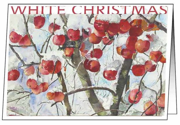 Weihnachtskarte mit Umschlag - Aquarell - Winteräpfel (c) Hanka Koebsch