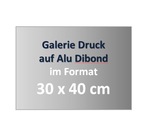 Galerie Druck auf Alu Dibond im Format 30 x 40 cm