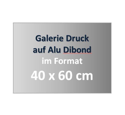 Galerie Druck auf Alu Dibond im Format 40 x 60 cm