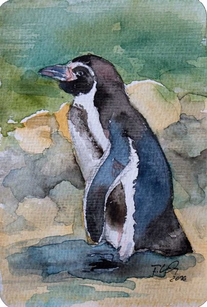 Pinguin (c) Miniatur in Aquarell von Frank Koebsch (2)