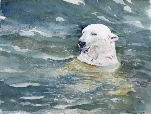 Was kommt jetzt? (c) ein Eisbären Aquarell von Hanka Koebsch