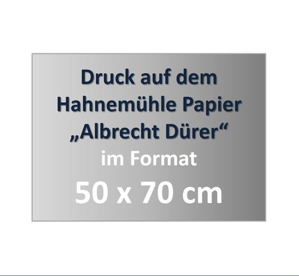 Druck auf Hahnemühle Papier „Albrecht Dürer“ im Format 50 x 70  cm