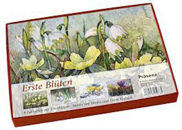 Kunstkarte mit Umschlag – Blumenaquarell „Schneeglöckchen“ von Frank Koebsch