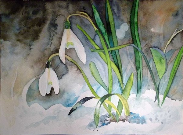 Kunstkarte mit Umschlag – Blumenaquarell „Schneeglöckchen“ von Frank Koebsch