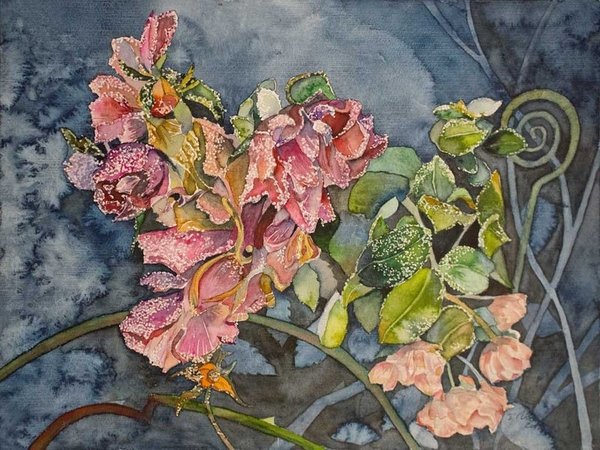 Eisblumen (c) ein Rosen Aquarell von Frank Koebsch