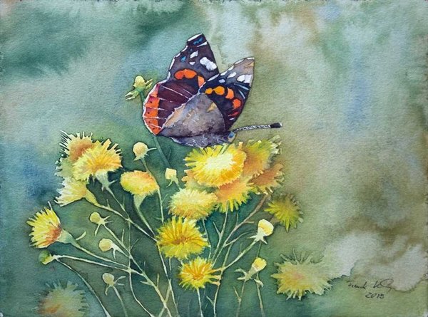Falter im Spätsommer © Schmetterlingsaquarell von Frank Koebsch