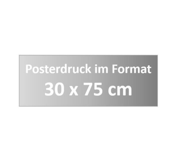 Posterdruck im Format 30 x 75 cm
