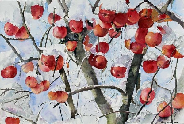 Postkarte – „Winteräpfel“ Aquarell von Hanka Koebsch