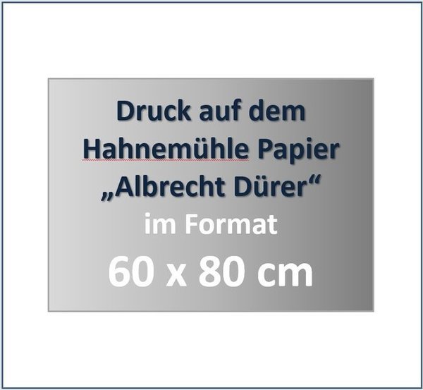 Druck auf Hahnemühle Papier „Albrecht Dürer“ im Format 60 x 80  cm