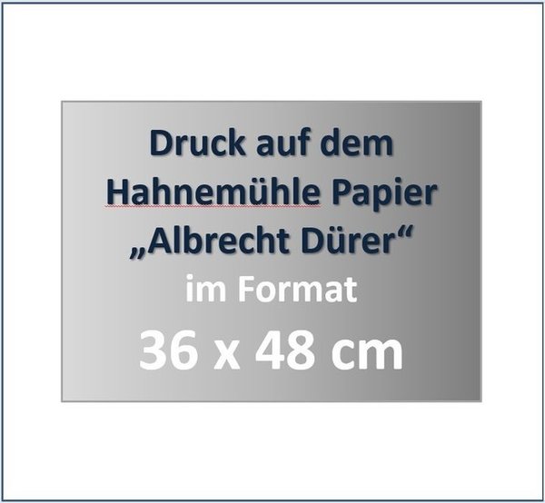 Druck auf Hahnemühle Papier „Albrecht Dürer“ im Format 36 x 48  cm