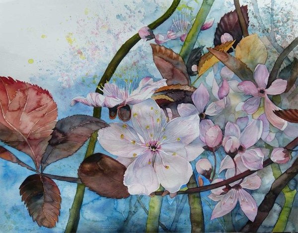 Kunstkarte mit Umschlag - "Blüten der Zierkirschen ...." Aquarell von Frank Koebsch