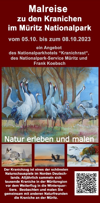 Malreise zu den Kranichen in den Müritz Nationalpark vom 05. bis zum 08.10.2023