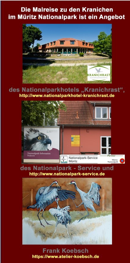Malreise zu den Kranichen in den Müritz Nationalpark vom 05. bis zum 08.10.2023