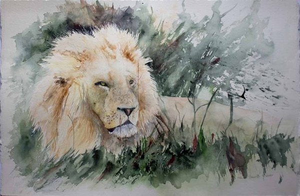 Ihre Majestät ruht © Aquarell mit einem Löwen von Hanka Koebsch