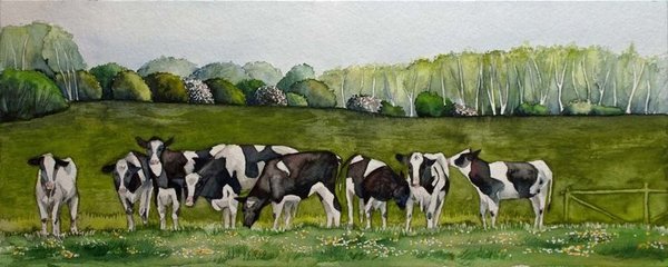 Glückliche Kühe in der Landschaft Mecklenburgs (c) Aquarell von Frank Koebsch