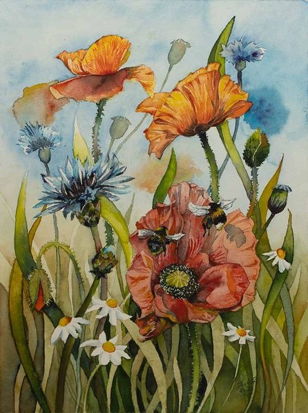 Sommerwiese mit Mohnblüten (c) Aquarell von Frank Koebsch