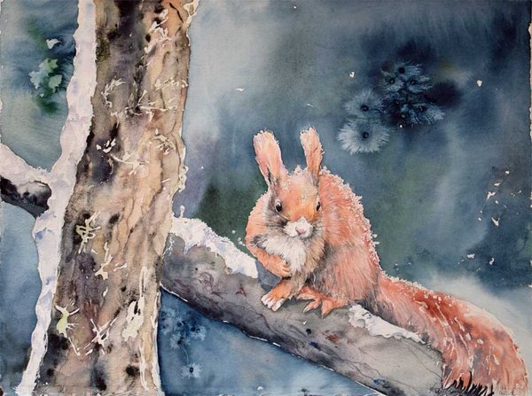 Postkarte – „Besetzt“ ein Eichhörchen Aquarell von Hanka Koebsch