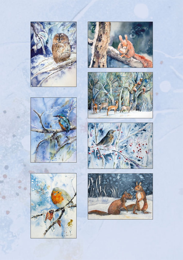 Postkarten-Box "Tiere im Schnee" mit Wild life Aquarellen von Hanka & Frank Koebsch