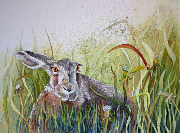 Postkarte – „Ein Hase versteckt im Gras“ Aquarell von Frank Koebsch