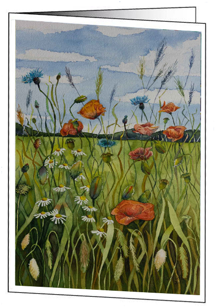 Kunstkarte mit Umschlag – "Bunte Sommerwiese“ - ein Mohn Aquarell von Frank Koebsch