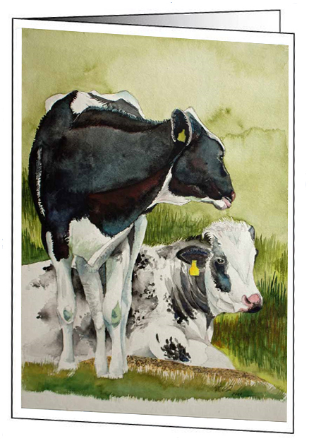 Kunstkarte mit Umschlag – "Schwarzbunte Kühe" - Aquarell von Frank Koebsch