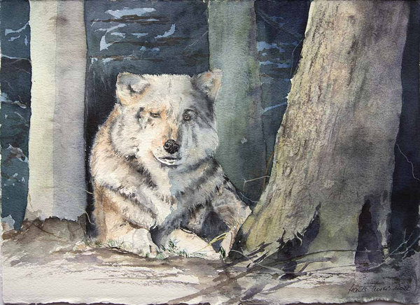 Der Wächter © Aquarell mit einem Wolf von Hanka Koebsch