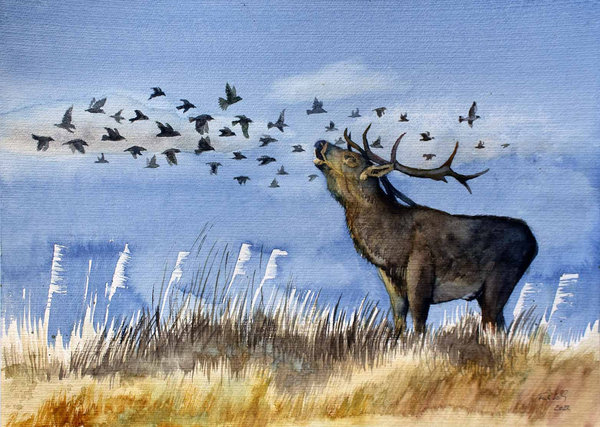 Naturschauspiel – Begegnung von einem Starenschwarm mit einem Hirsch (c) Aquarell von Frank Koebsch