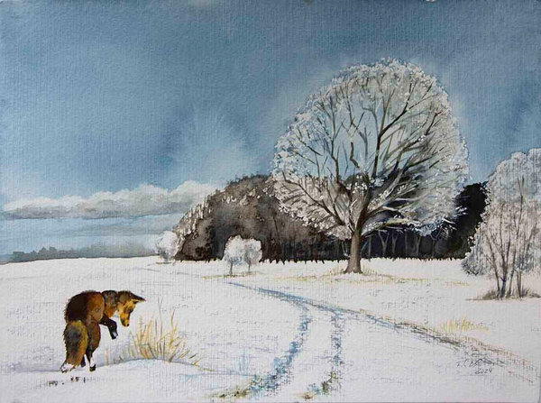 Fuchs auf Mäusejagd in den verschneiten Wiesen (c) Aquarell von Frank Koebsch
